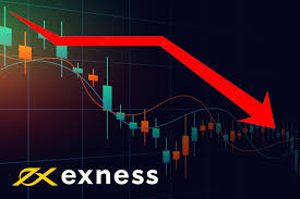 Understanding Exness Micro Accounts for Beginners Understanding Exness Micro Accounts for Beginners